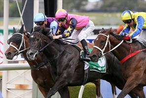 Beauty's Beast thwarts Waller's team at Rosehill